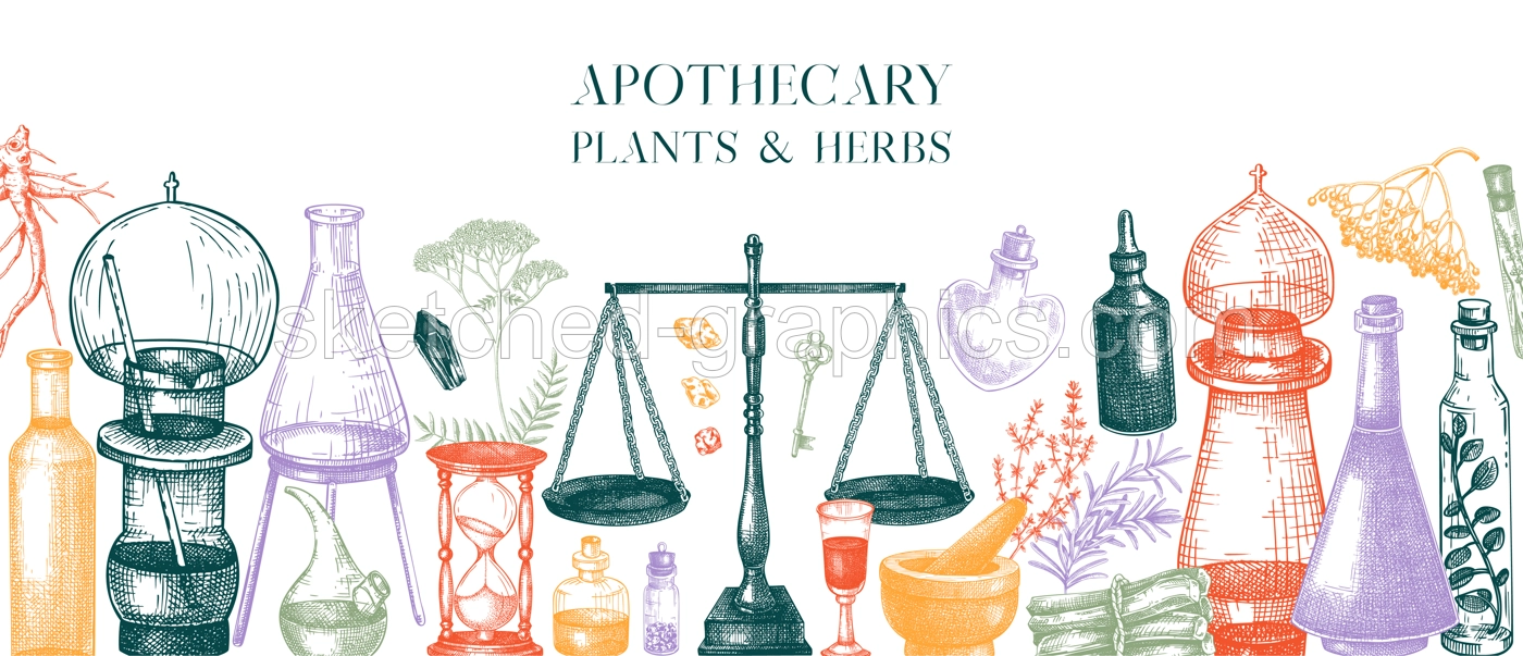 Antique apothecary banner. Medicinal herbs background. Hand-drawn vector illustrations. Alchemy glassware sketches in color. NOT AI generated Illustration